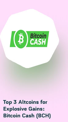 Bitcoin cash bch